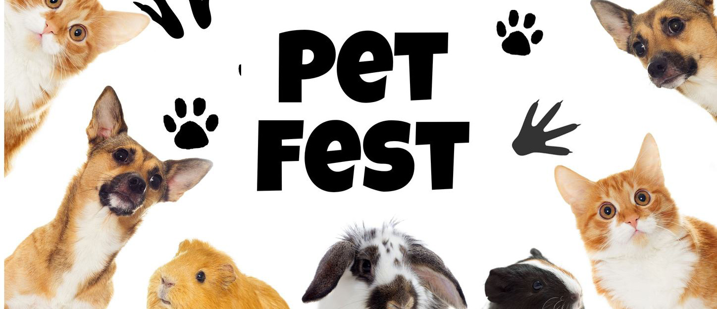 Pet Fest